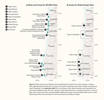 Oregon Kelp Alliance map by The Map Consultancy