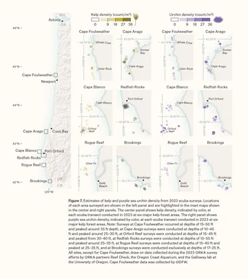 Oregon Kelp Alliance map by The Map Consultancy