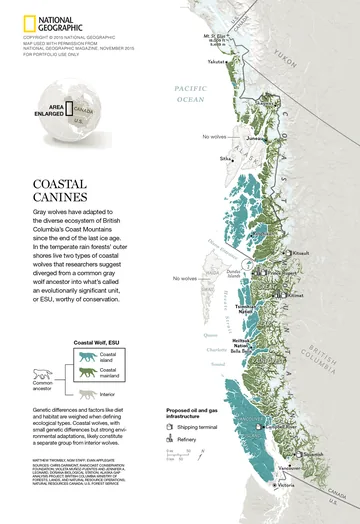National Geographic map and data visualization – The Coastal Wolves of British Columbia